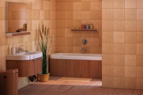 Buy bathroom tiles + introduce the production and distribution factory